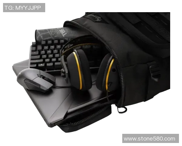 和平精英战术解析JDGaming区域防守策略与实战应用全景剖析